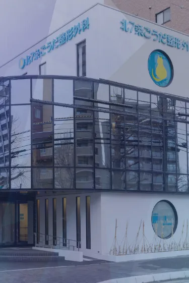 すべての患者さまが痛みなく快適に生活できるようサポートいたします 当院は充実した設備を完備しています -リハビリマシン完備 -MRI完備